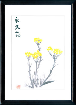 Pittura Sumi-e Helichrysum