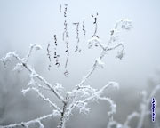 Japanese calligraphy wallpapers Winter