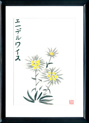 Sumi-e painting Edelweiss
