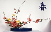 Ikebana, Japanische Kalligraphie Kanji Der Frühling