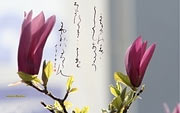 Фотообои японская каллиграфия и цветы