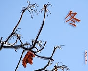 Japanische Kalligraphie Hintergrundbilder Kanji Der Winter