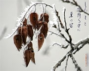 Sfondi di calligrafia giapponese Inverno